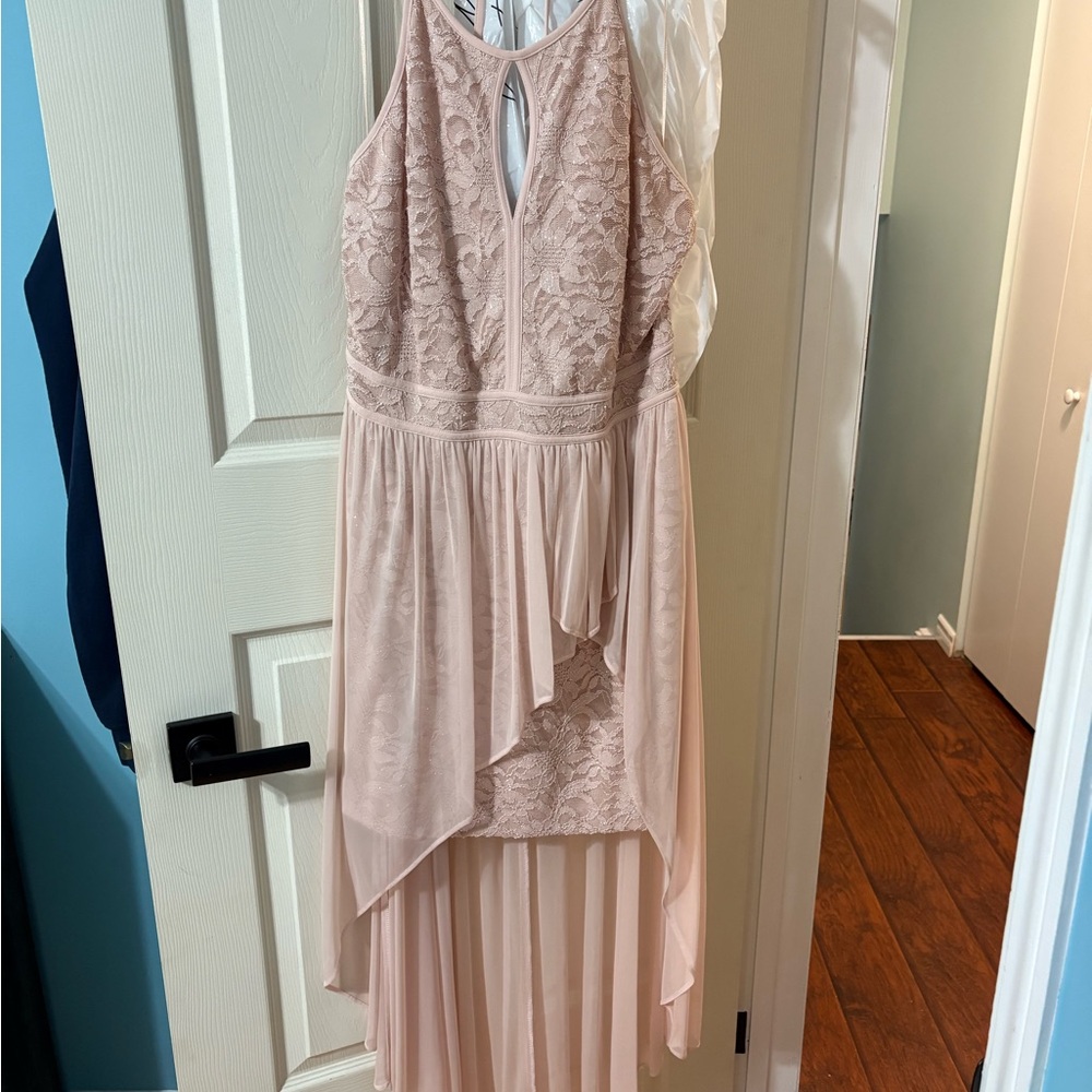 Morgan & Co. Blush Lace Dress